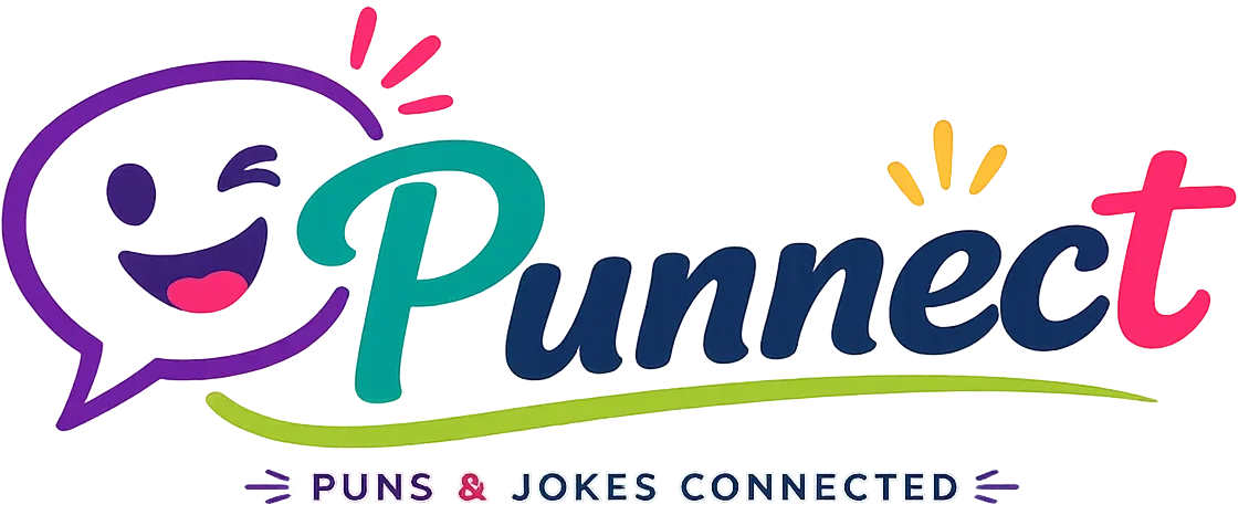 punnect.com